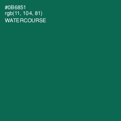 #0B6851 - Watercourse Color Image