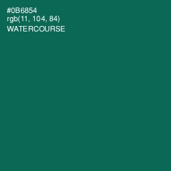 #0B6854 - Watercourse Color Image