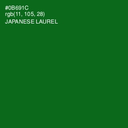#0B691C - Japanese Laurel Color Image