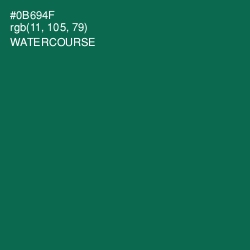 #0B694F - Watercourse Color Image