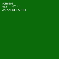 #0B6B0B - Japanese Laurel Color Image