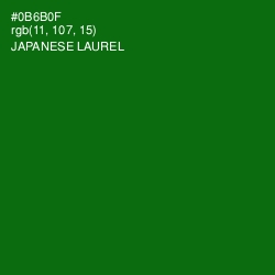 #0B6B0F - Japanese Laurel Color Image