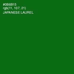 #0B6B15 - Japanese Laurel Color Image