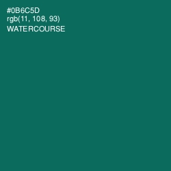 #0B6C5D - Watercourse Color Image
