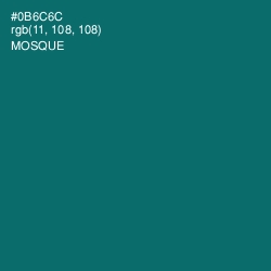 #0B6C6C - Mosque Color Image