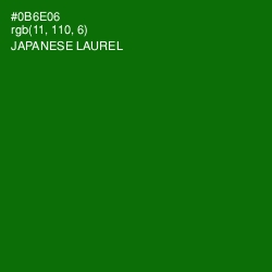 #0B6E06 - Japanese Laurel Color Image