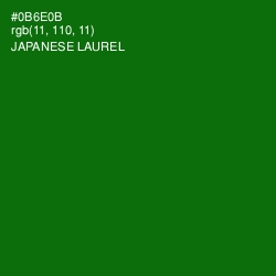 #0B6E0B - Japanese Laurel Color Image