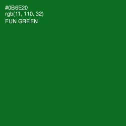 #0B6E20 - Fun Green Color Image