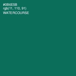 #0B6E5B - Watercourse Color Image