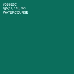 #0B6E5C - Watercourse Color Image