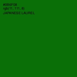 #0B6F08 - Japanese Laurel Color Image