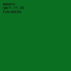 #0B6F21 - Fun Green Color Image