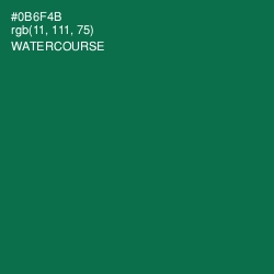 #0B6F4B - Watercourse Color Image