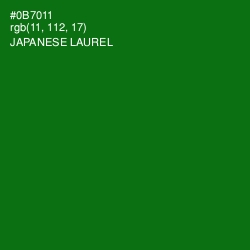 #0B7011 - Japanese Laurel Color Image