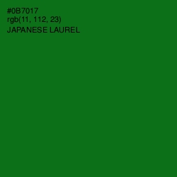 #0B7017 - Japanese Laurel Color Image