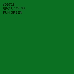 #0B7021 - Fun Green Color Image