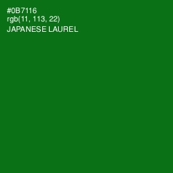 #0B7116 - Japanese Laurel Color Image