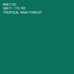 #0B715C - Tropical Rain Forest Color Image