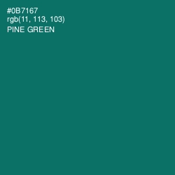 #0B7167 - Pine Green Color Image