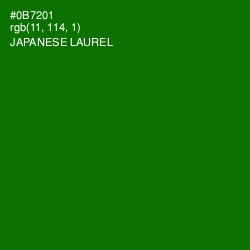 #0B7201 - Japanese Laurel Color Image