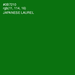 #0B7210 - Japanese Laurel Color Image