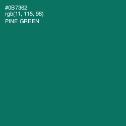 #0B7362 - Pine Green Color Image