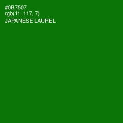 #0B7507 - Japanese Laurel Color Image