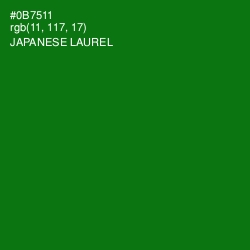 #0B7511 - Japanese Laurel Color Image