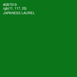 #0B7519 - Japanese Laurel Color Image