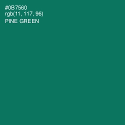 #0B7560 - Pine Green Color Image