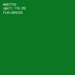 #0B7723 - Fun Green Color Image
