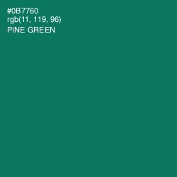 #0B7760 - Pine Green Color Image