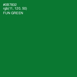 #0B7832 - Fun Green Color Image