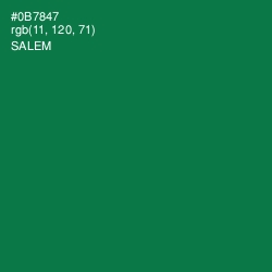 #0B7847 - Salem Color Image