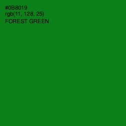 #0B8019 - Forest Green Color Image