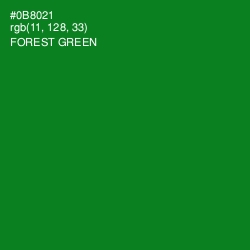 #0B8021 - Forest Green Color Image