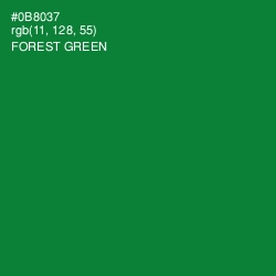 #0B8037 - Forest Green Color Image