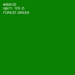 #0B8102 - Forest Green Color Image