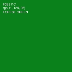 #0B811C - Forest Green Color Image