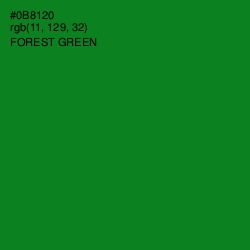 #0B8120 - Forest Green Color Image