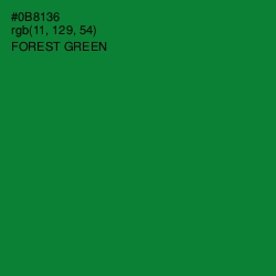 #0B8136 - Forest Green Color Image