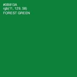 #0B813A - Forest Green Color Image