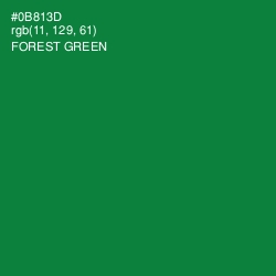 #0B813D - Forest Green Color Image