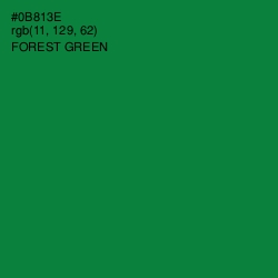 #0B813E - Forest Green Color Image