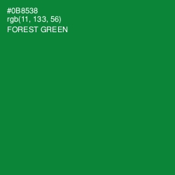 #0B8538 - Forest Green Color Image