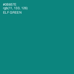 #0B857E - Elf Green Color Image