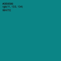 #0B8586 - Teal Color Image