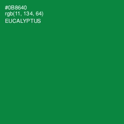 #0B8640 - Eucalyptus Color Image