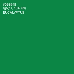 #0B8645 - Eucalyptus Color Image