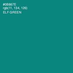 #0B867E - Elf Green Color Image